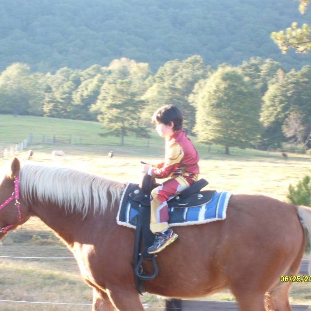 Meet your Posher, Joan